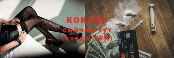 шишки Иннополис