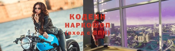 спиды Инсар