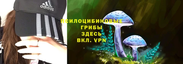 гидра Пенза
