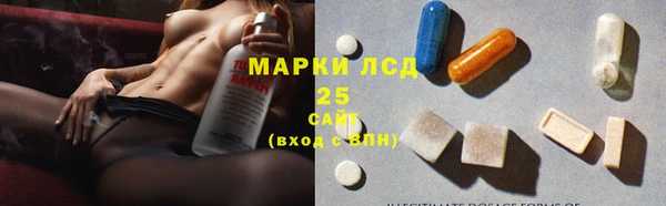 спиды Инсар