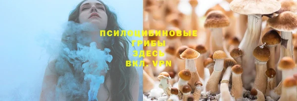 спиды Инсар