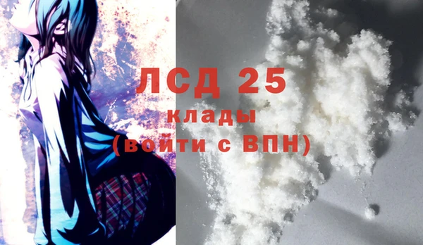 эйфоретик Инта