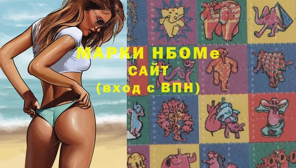 эйфоретик Инта